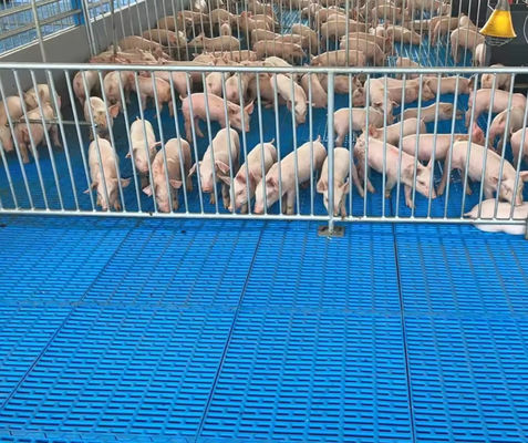 High Strength Fibreglass Floor Grating FRP Molded Grating For Pig Chicken Sheep