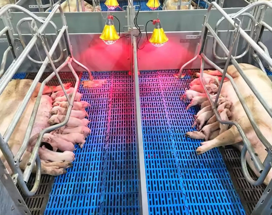 High Strength Fibreglass Floor Grating FRP Molded Grating For Pig Chicken Sheep